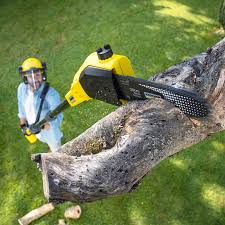 Best Pest Control for Lawns  in Monterey, TN